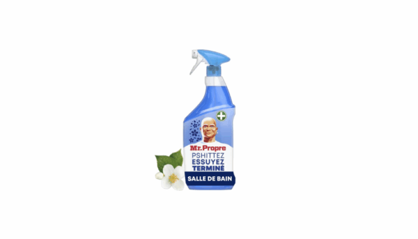 MR Propre salle de bains