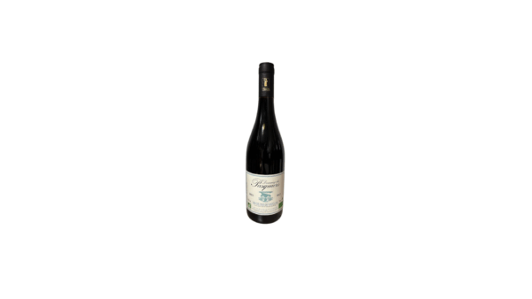 Vin Rouge Bio Domaine des Pasquiers 70cl